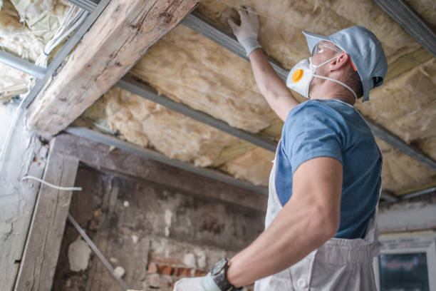 Best Residential Insulation in Laurel, MT