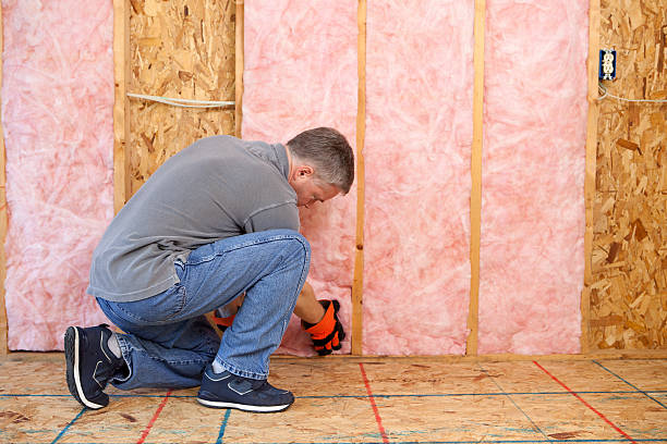 Best Insulation Maintenance and Repair in Laurel, MT